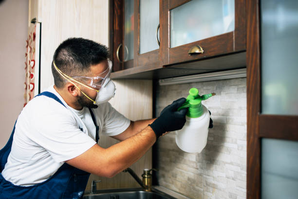 Best Best Pest Control Companies  in Saranap, CA