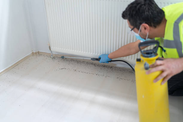 Best Local Pest Control Services  in Saranap, CA